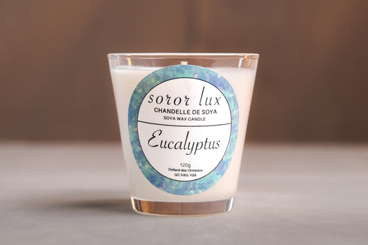 Chandelle eucalyptus