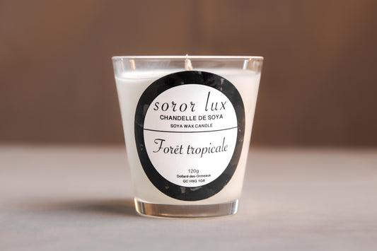 Chandelle forêt tropicale